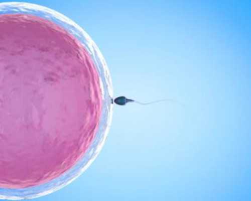 <b>试管供卵与母亲有血缘关系吗&供卵自怀会有排异吗,2023泰国同性试管婴儿指</b>