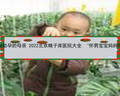 北京做助孕的母亲 2022北京精子库医院大全 ‘怀男宝宝妈妈特征’