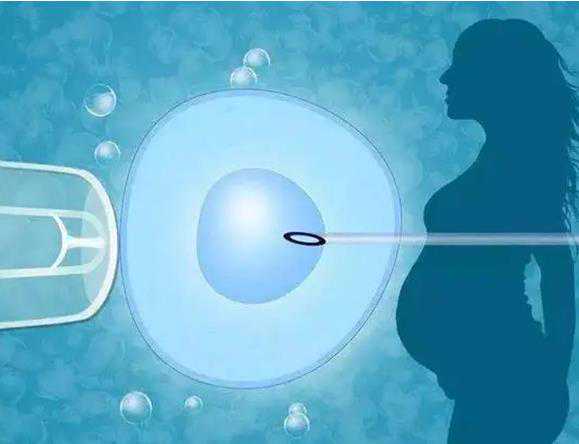 卵子试管助孕生下的孩子是自己的吗？时代辅助生殖专家称取决于精子和卵子的
